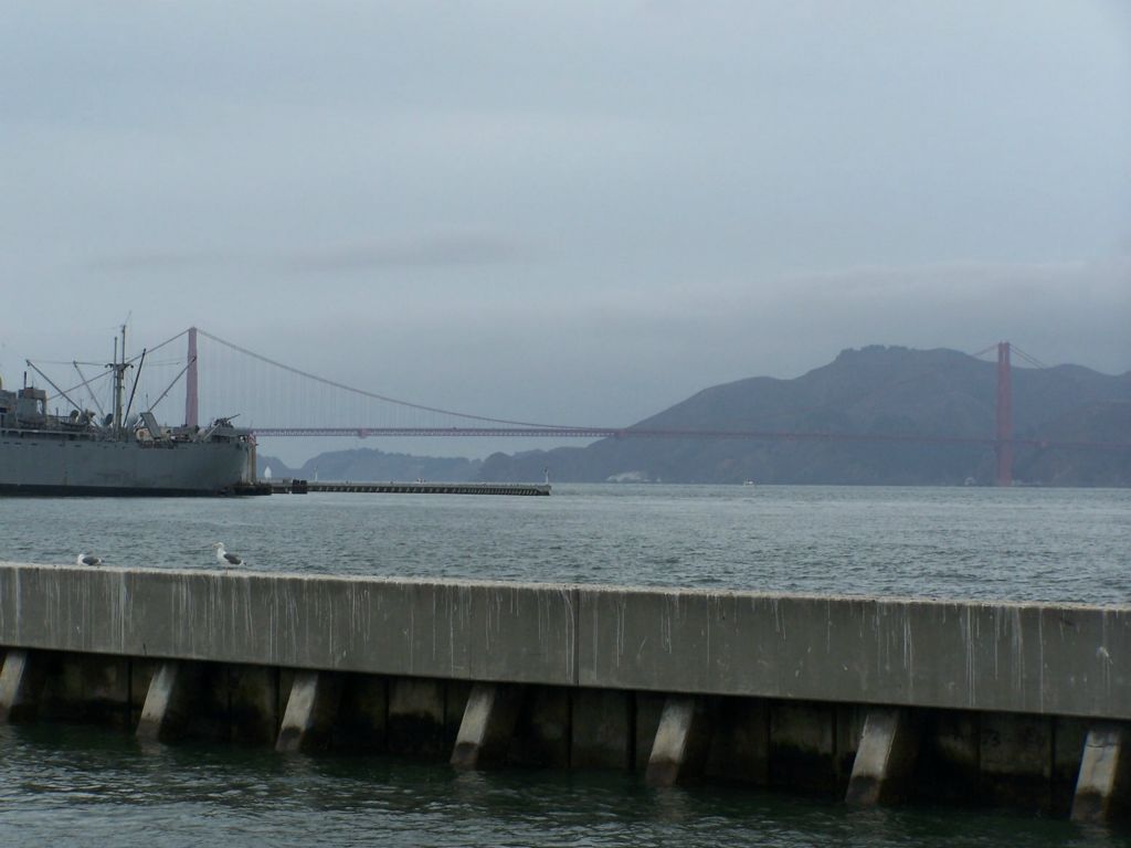 Photo provided by Craig Howells